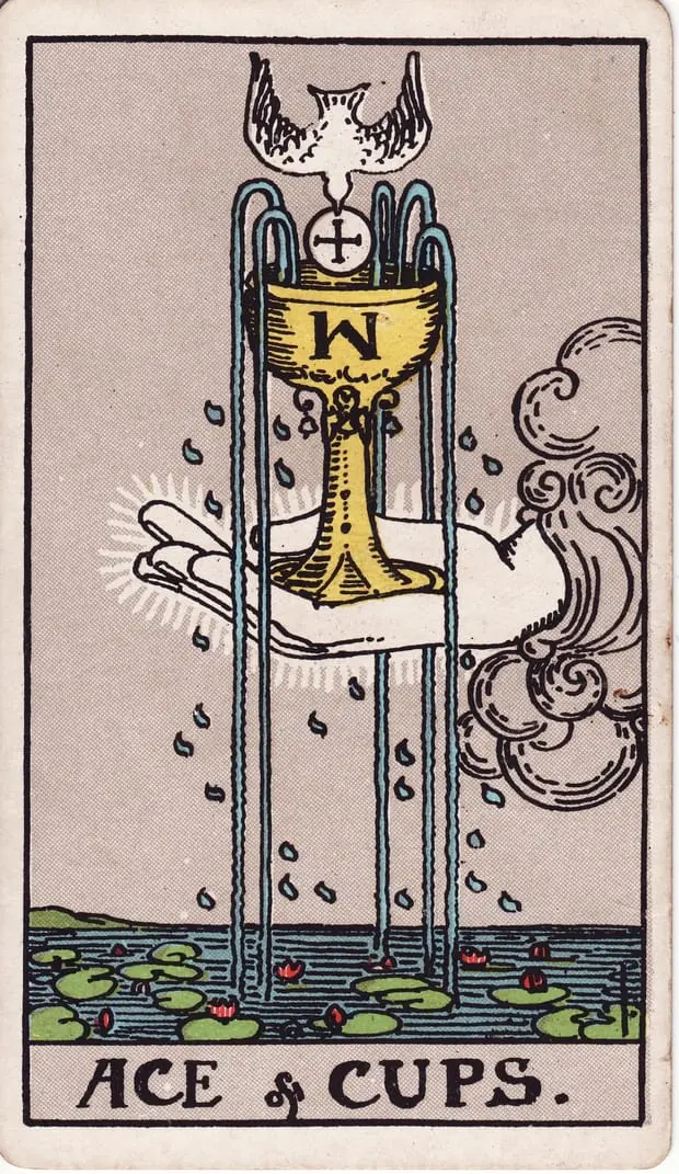 Ace of Cups / Át Cốc