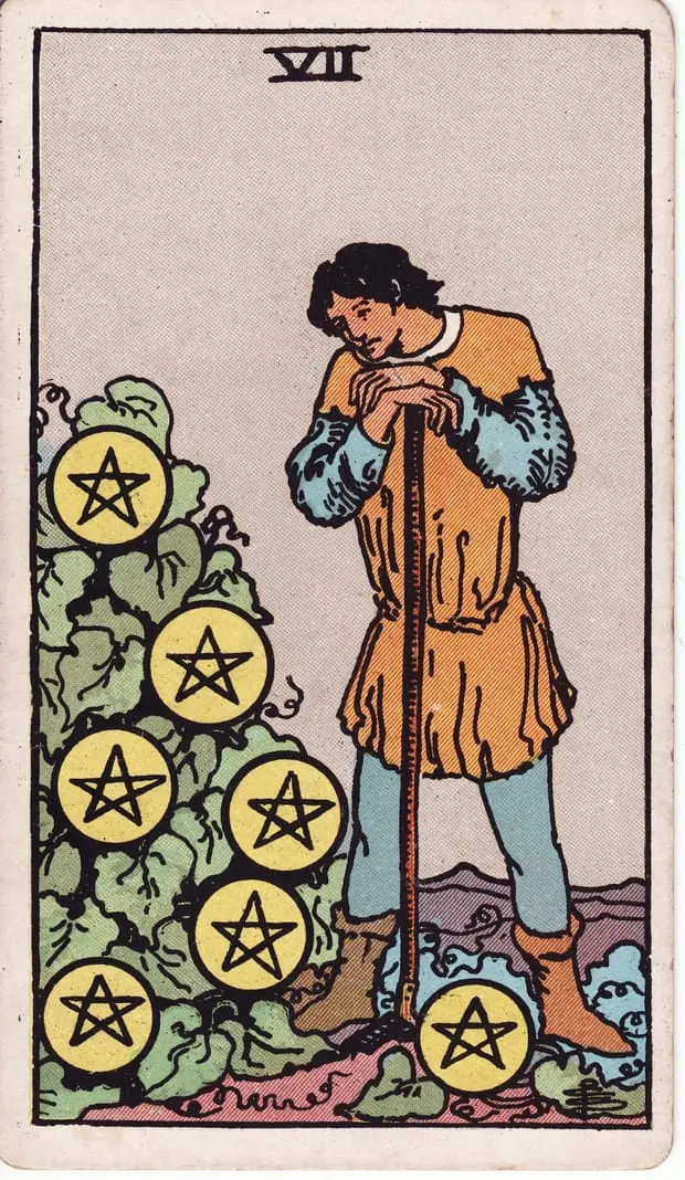 Seven of Pentacles / Bảy Tiền