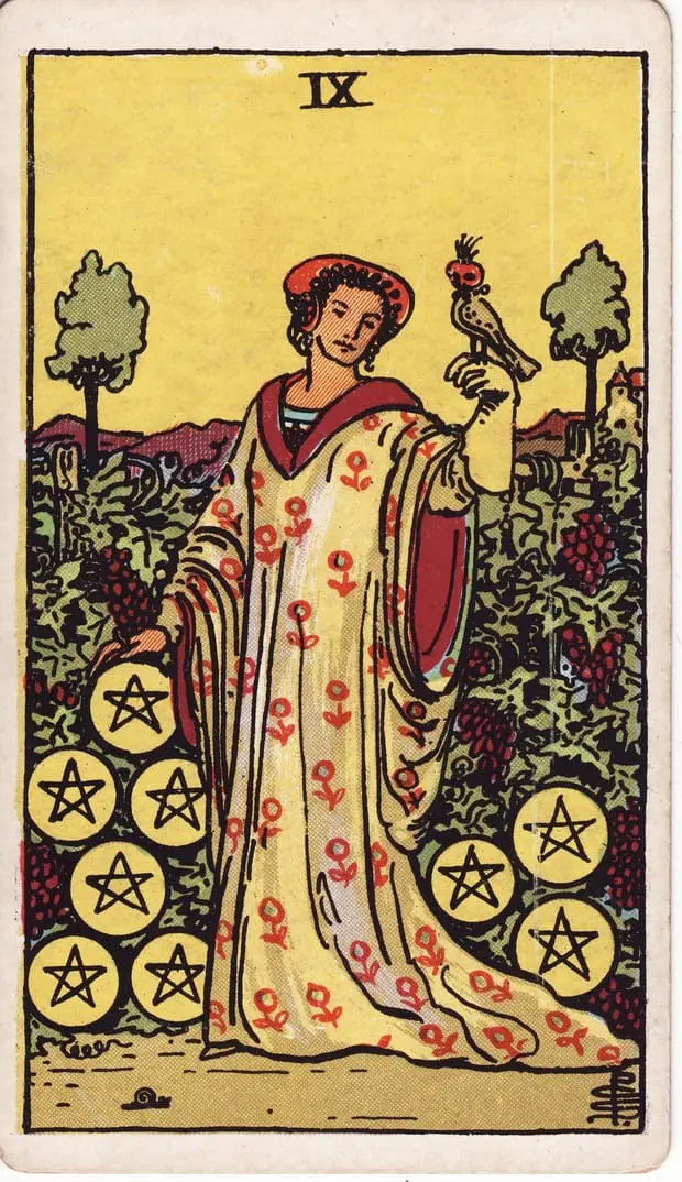 Nine of Pentacles / Chín Tiền