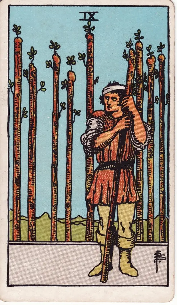 Nine of Wands / Chín Gậy