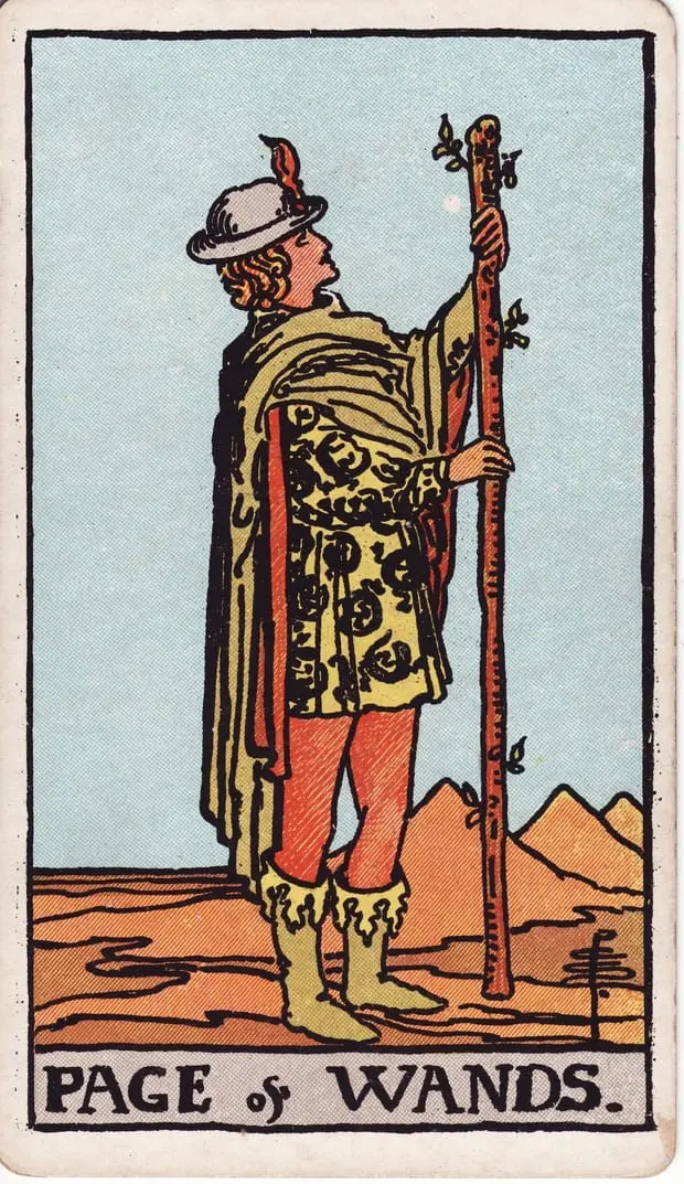 Page of Wands / Tiểu Đồng Gậy